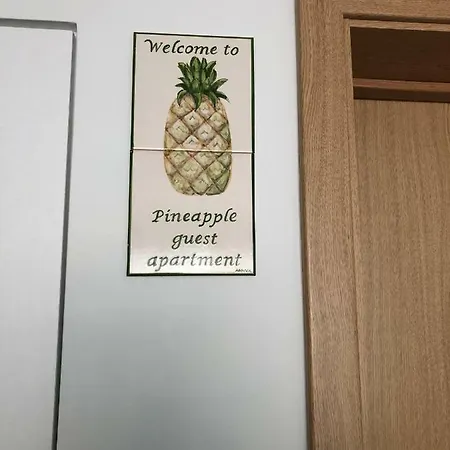 Pineapple Guest Apartamento *